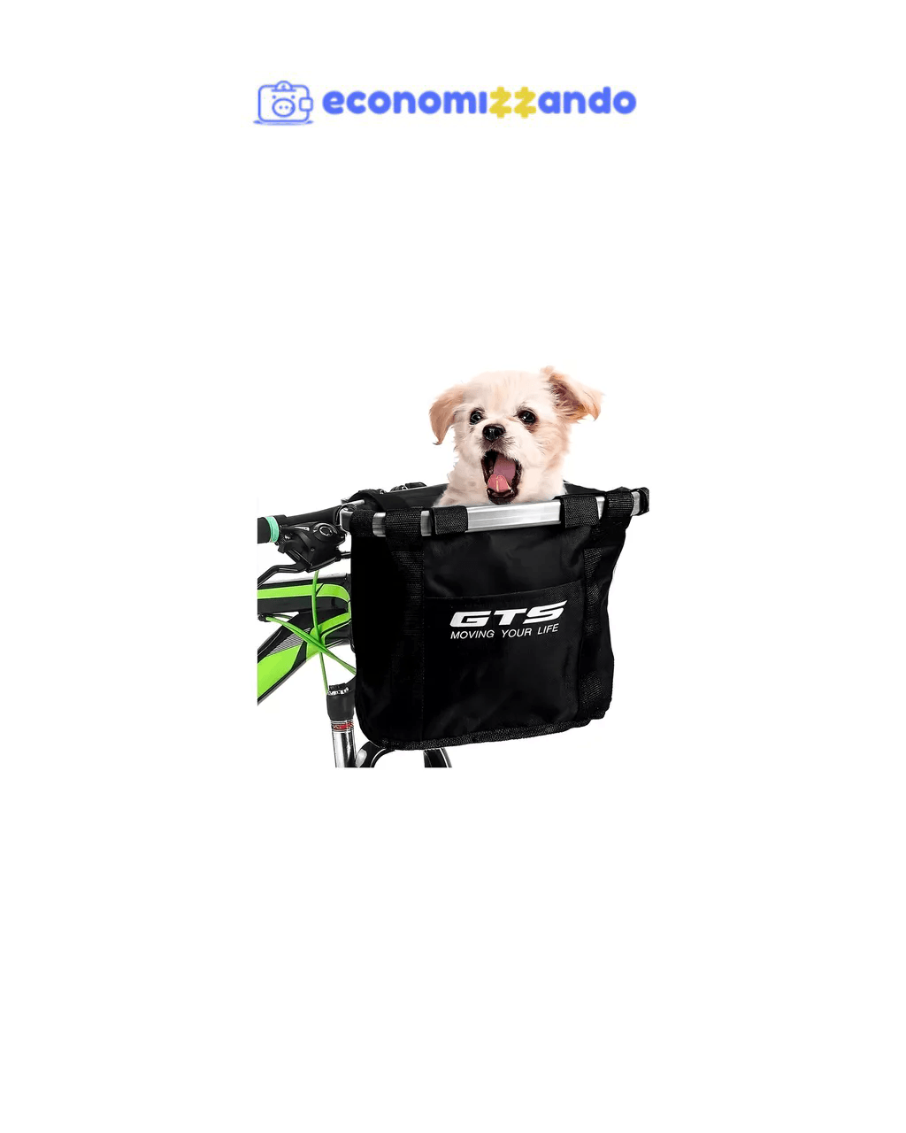 Cesta Dianteira Removível Bike Pet