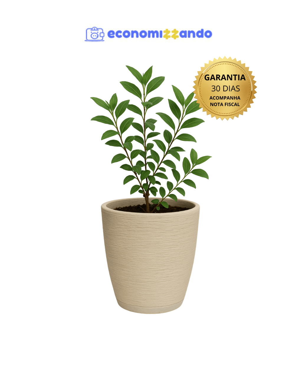 Vaso para plantas Cor Bege Decorativo em Polietileno redondo escovado com prato coletor
